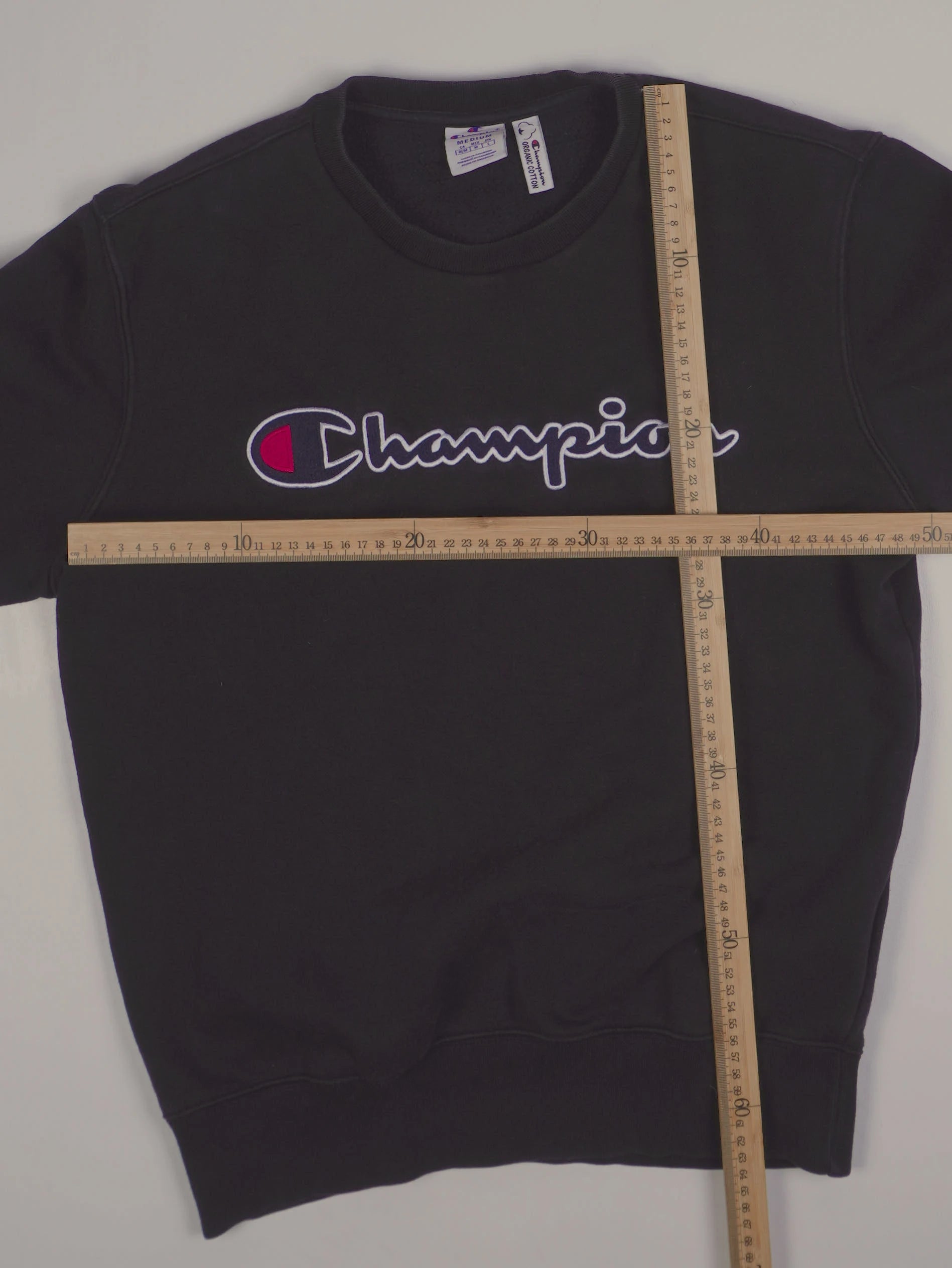 Champion Sweater (M)