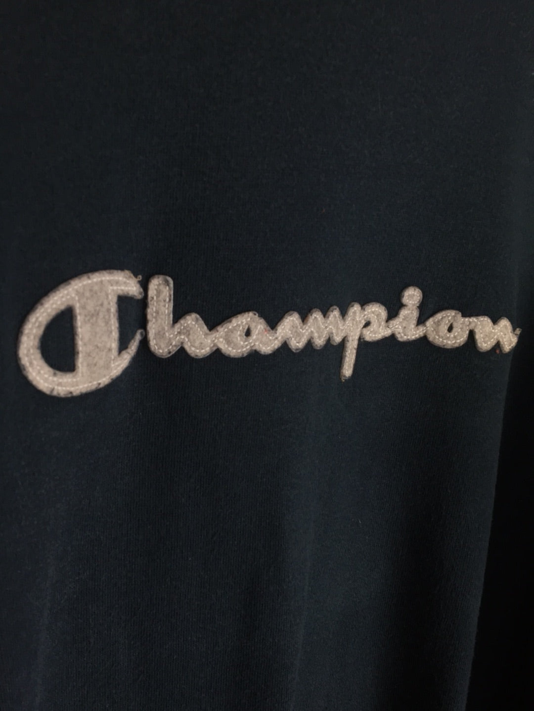 Champion Sweater (L)