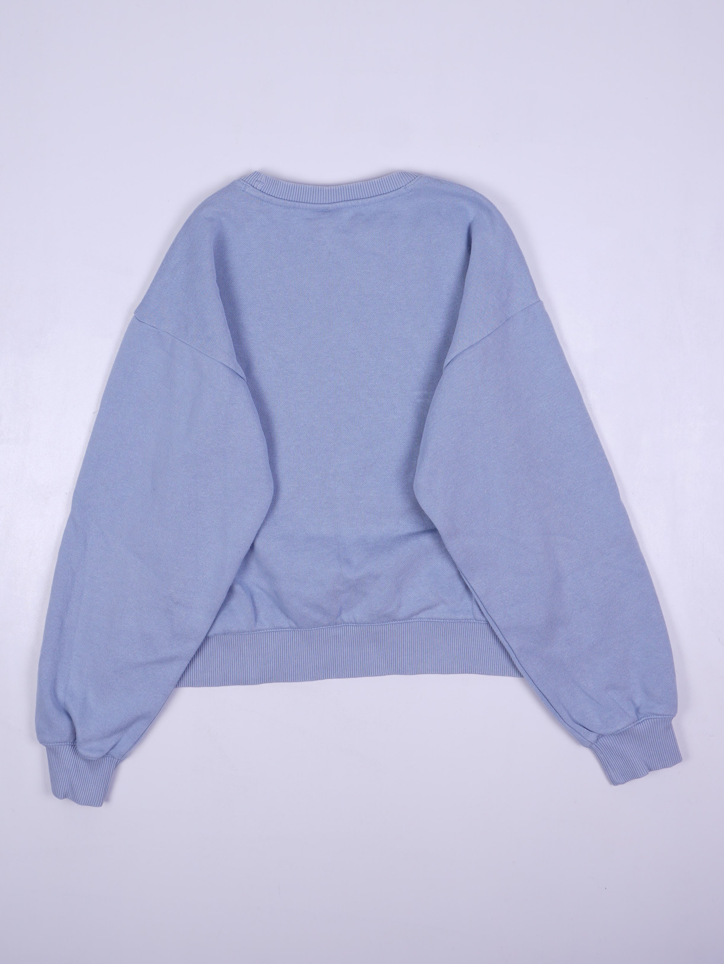 Champion Sweater (XS)