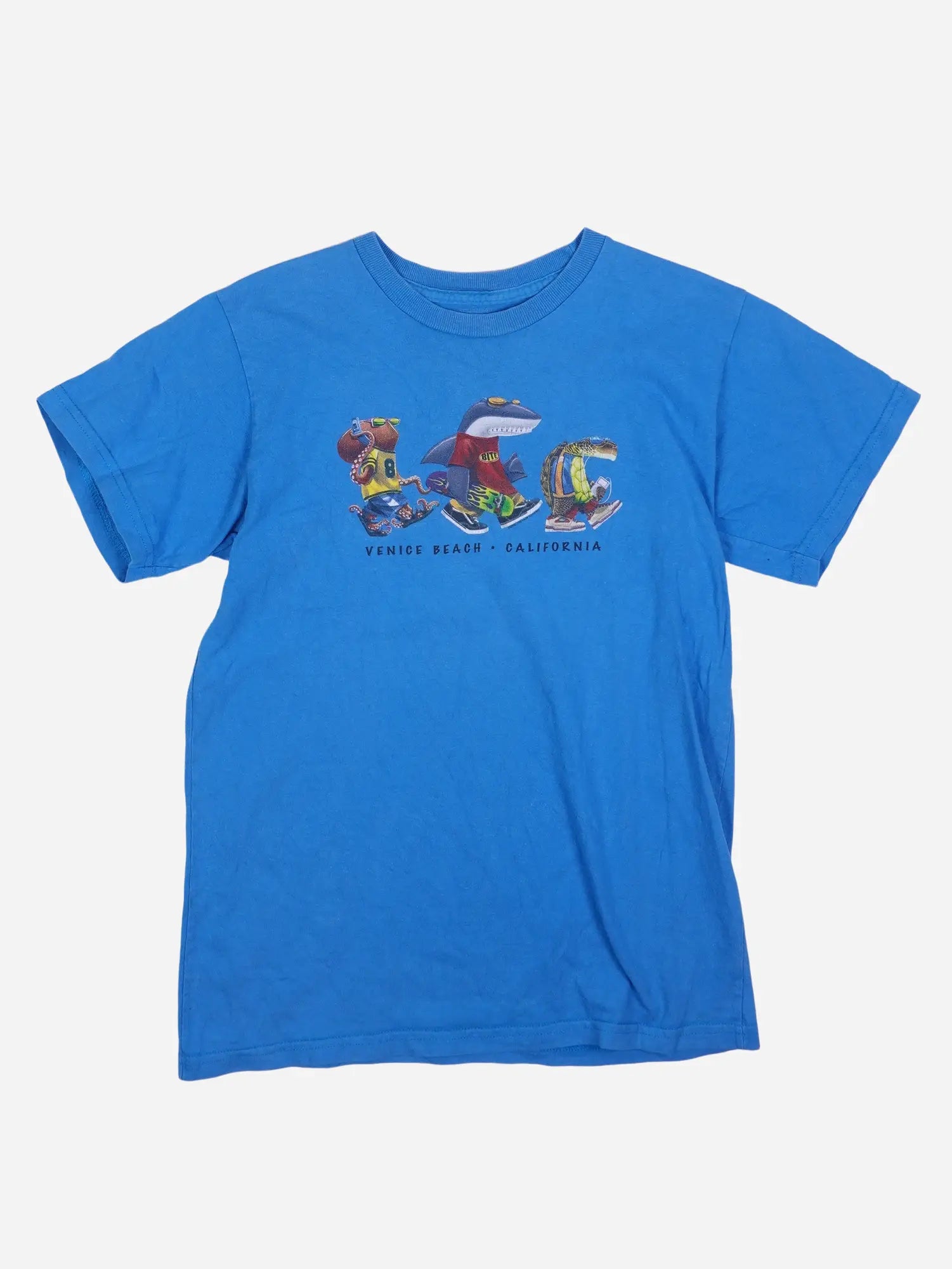 Vintage T-Shirt (S)