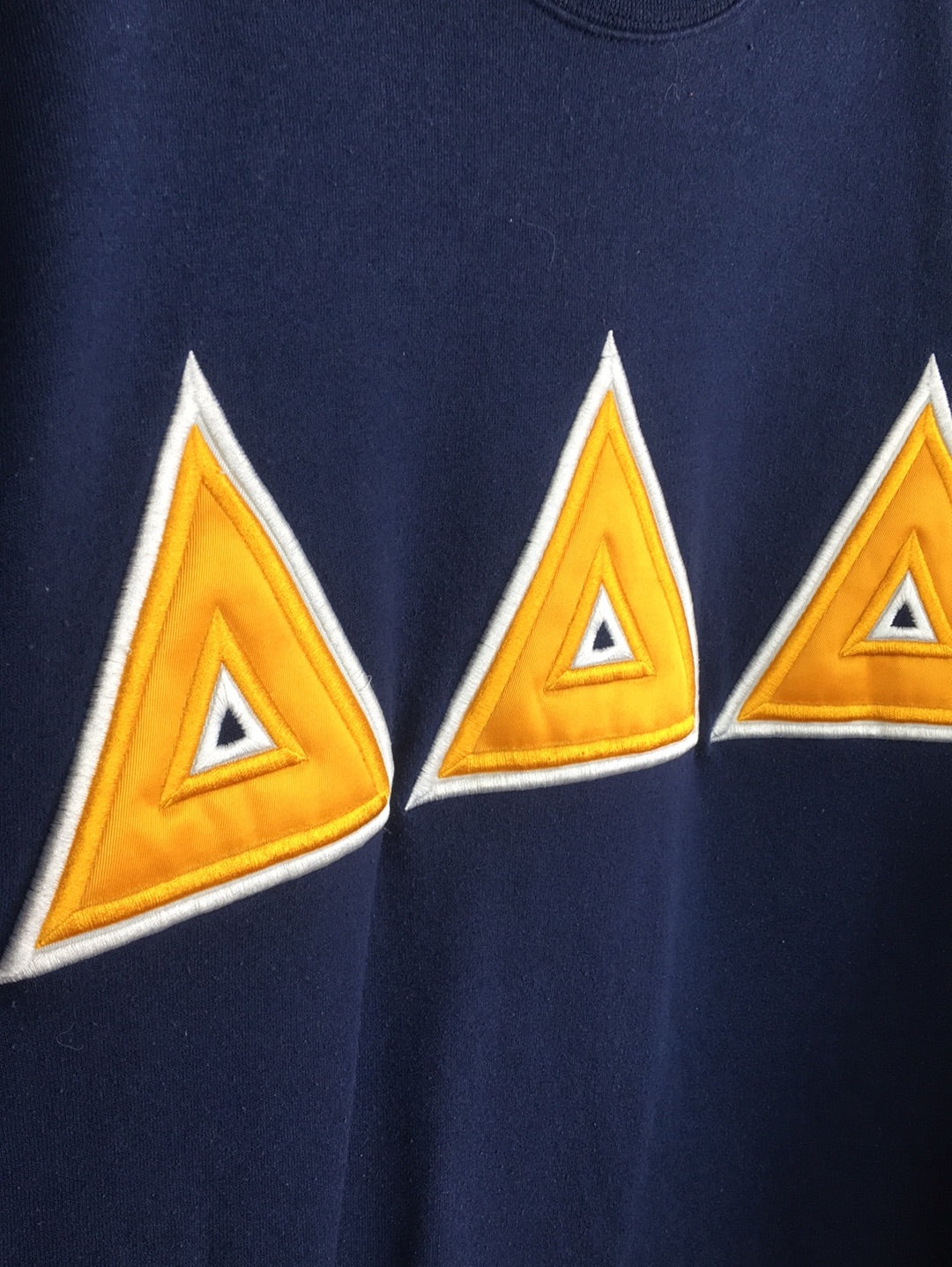 Champion Sweater (M)