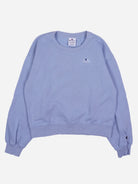 Champion Sweater (XS)