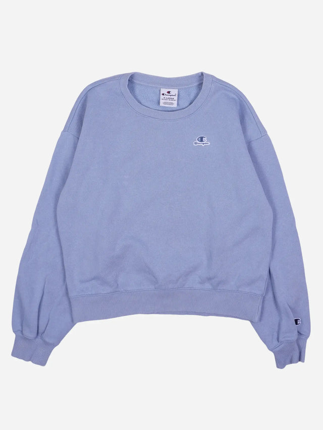 Champion Sweater (XS)
