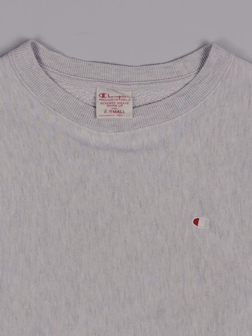 Champion Sweater (XS)