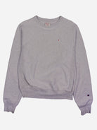 Champion Sweater (XS)