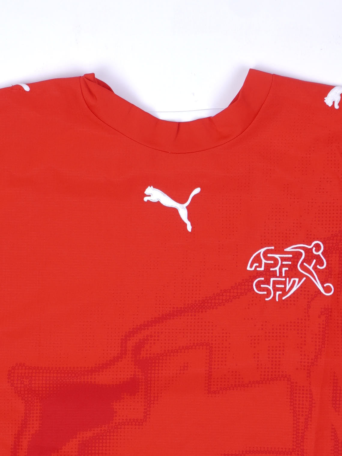 Puma Deutschland 2024 Prematch Trikot (L)