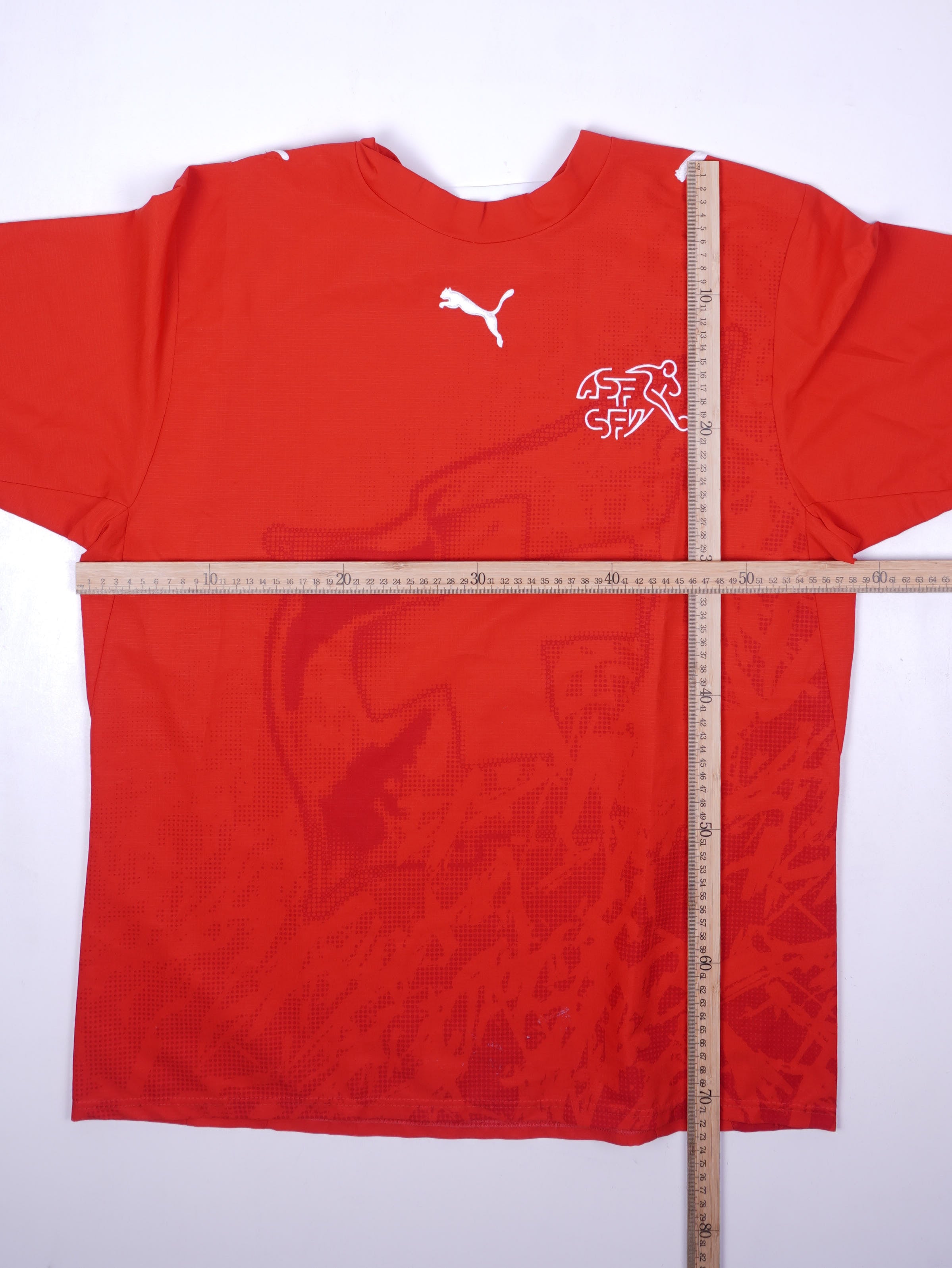 Puma Deutschland 2024 Prematch Trikot (L)