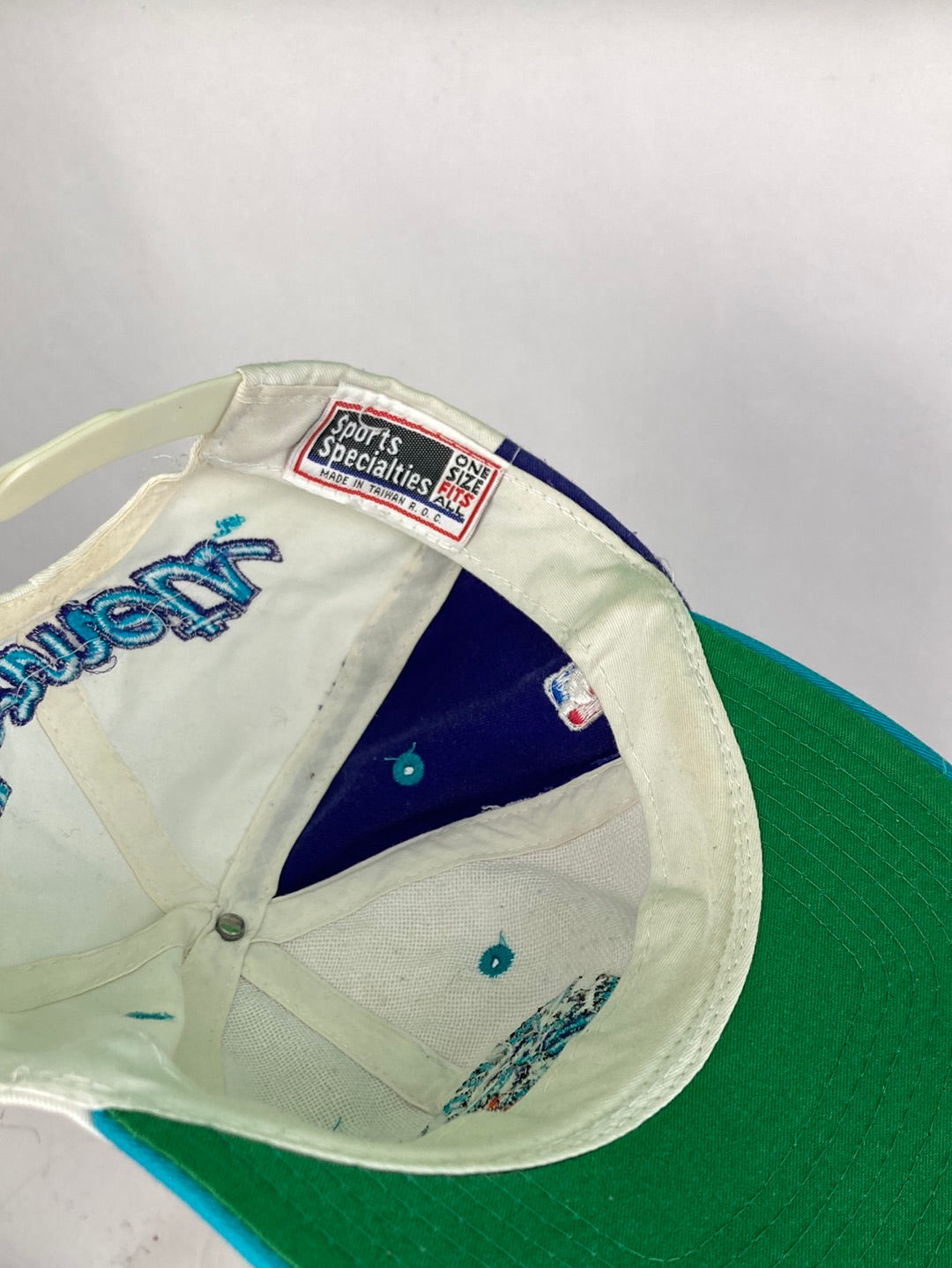 Charlotte Hornets NBA Cap