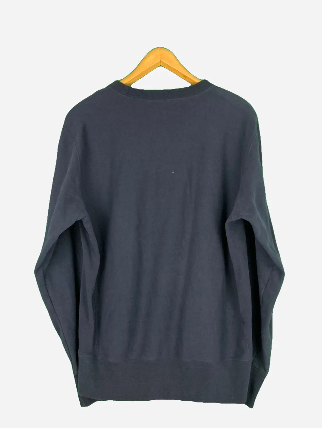 Champion Sweater (L)