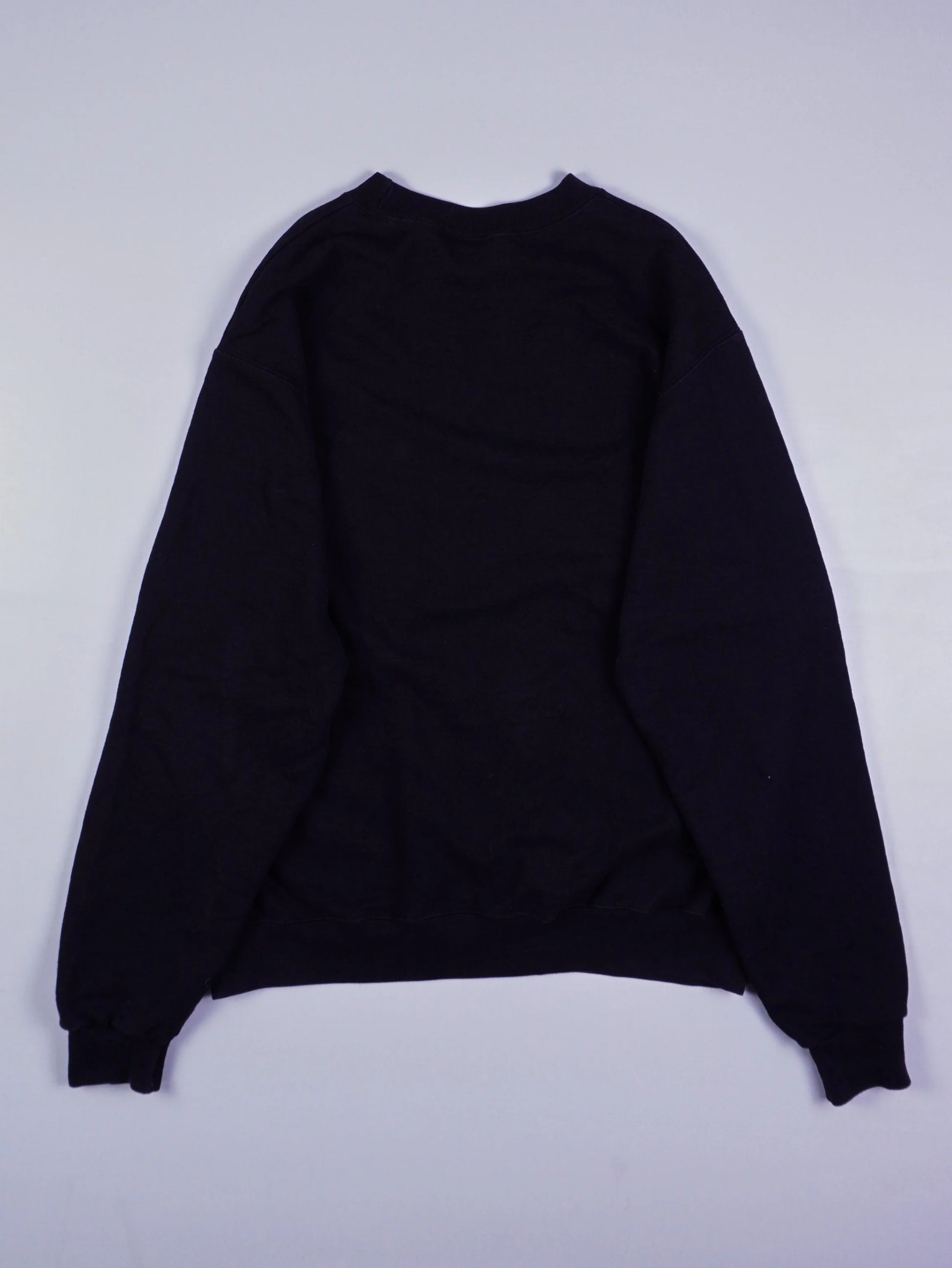 Champion Sweater (M)