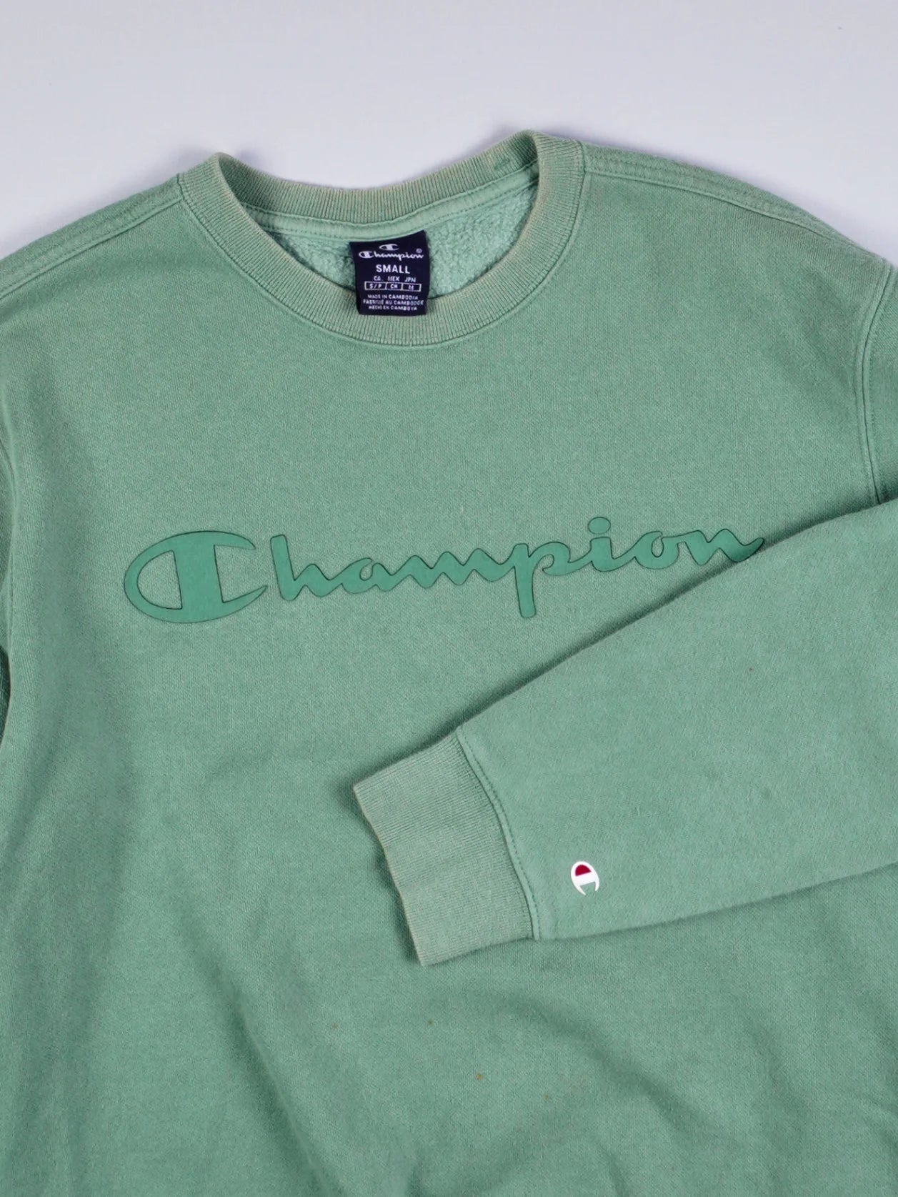 Champion Sweater (S)