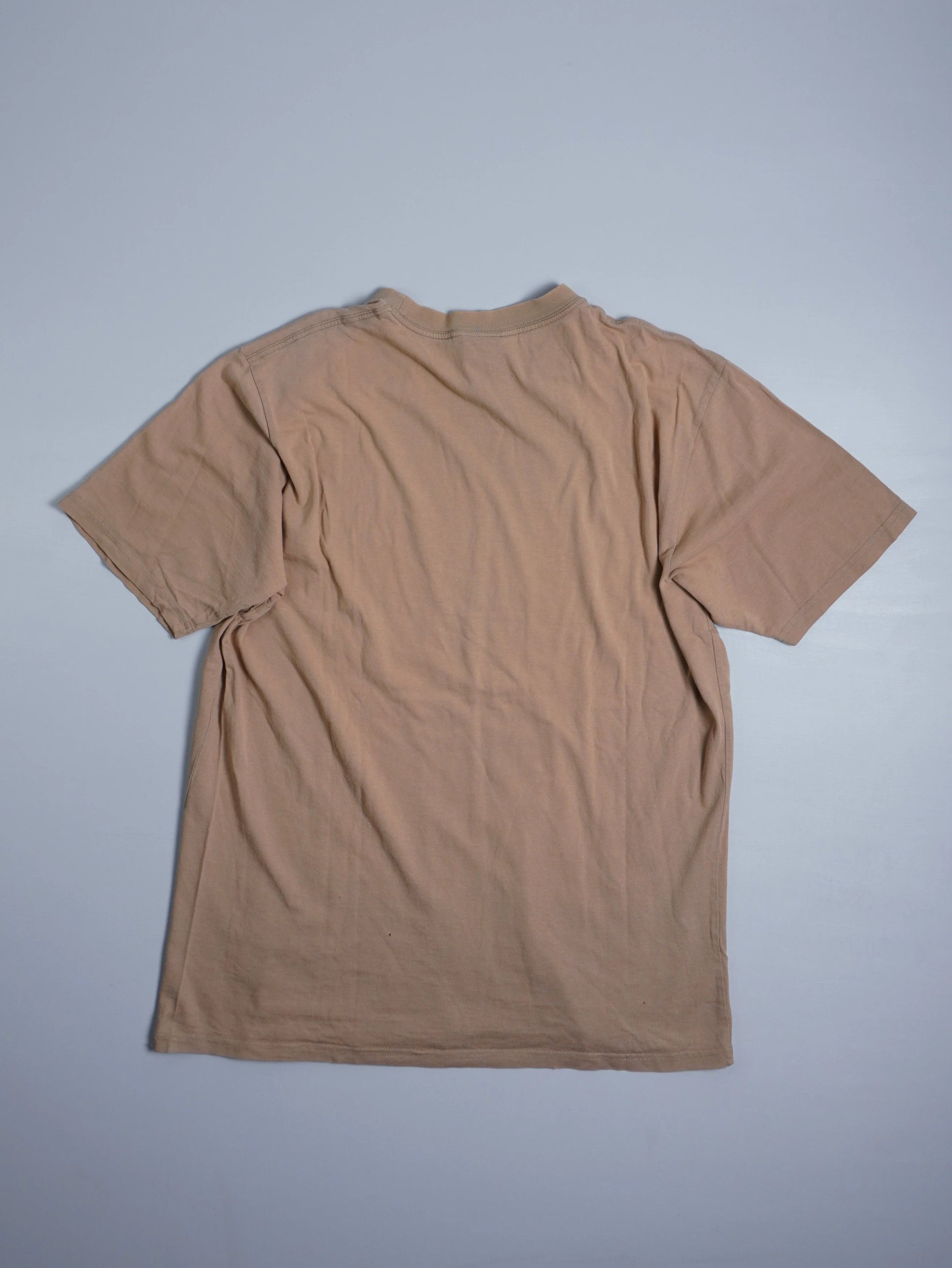 Carhartt T-Shirt (L)