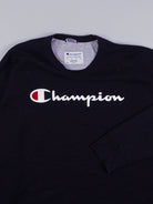 Champion Sweater (L)