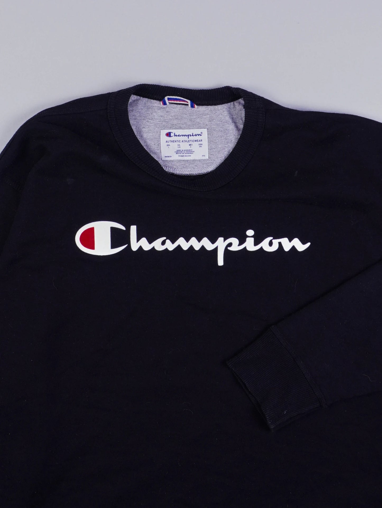 Champion Sweater (L)