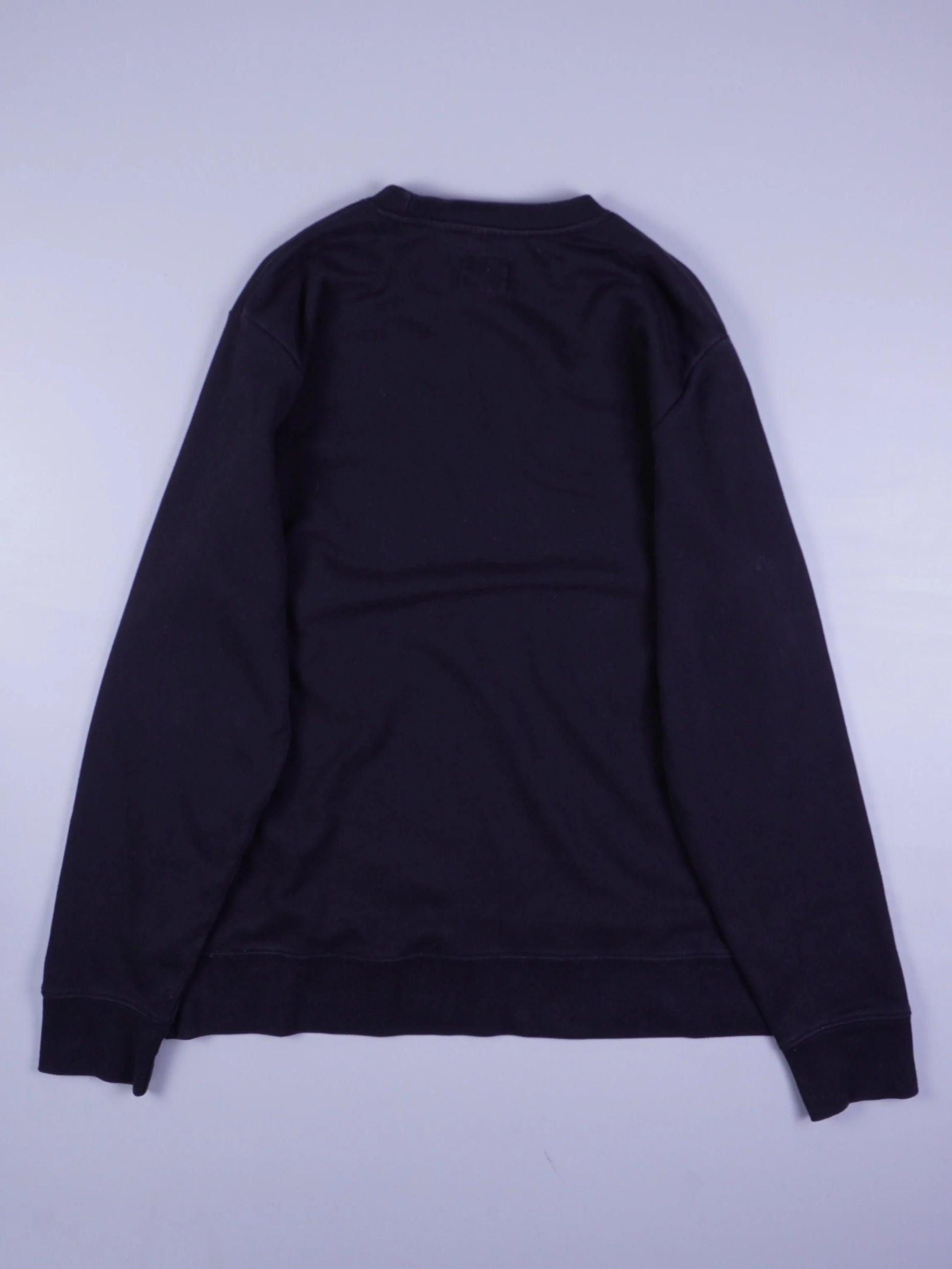 Champion Sweater (L)