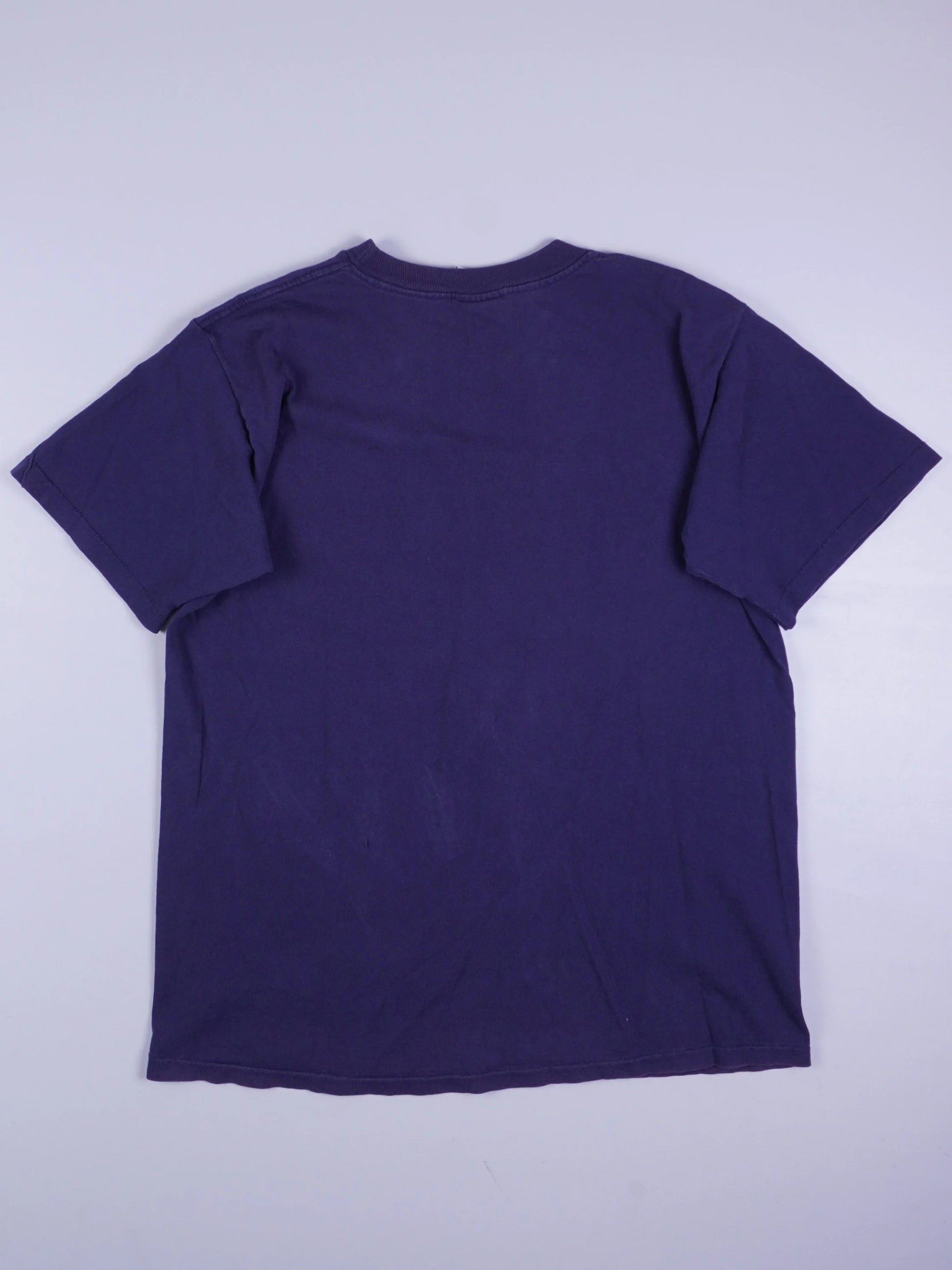 Big Ten T-Shirt (M)