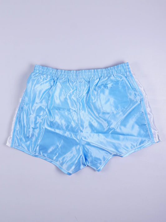 Vintage Sport Shorts (L)