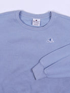 Champion Sweater (XS)