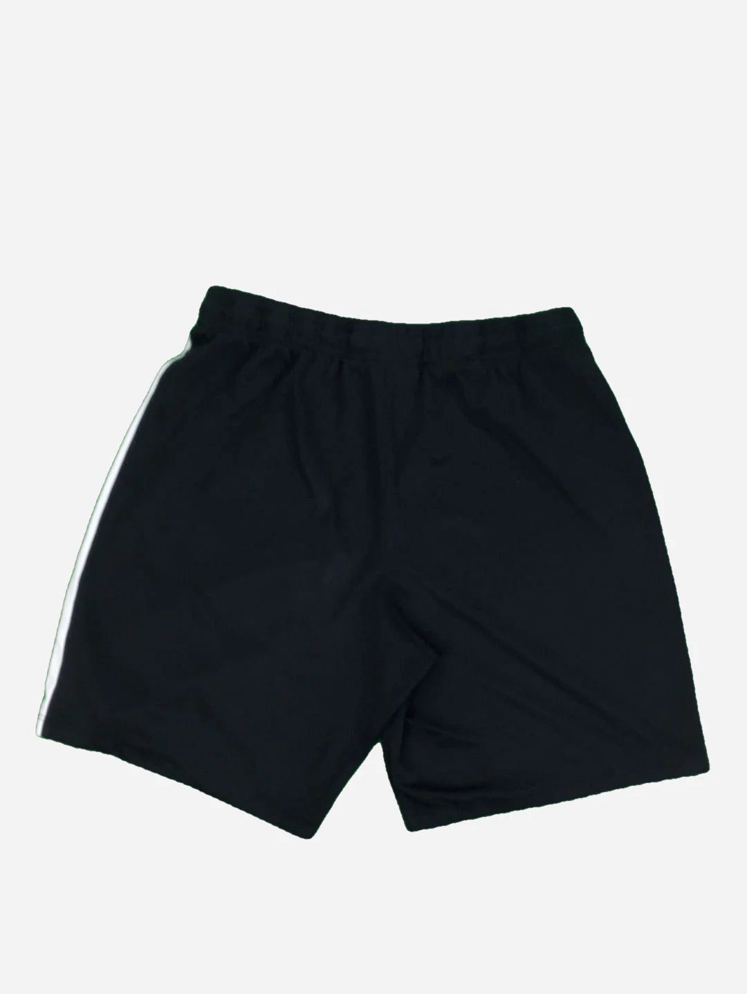 Nike Shorts (L)