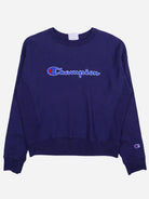 Champion Sweater (XS)