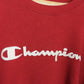 Champion Sweater (XL)